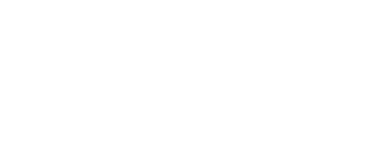 Partner Name logo