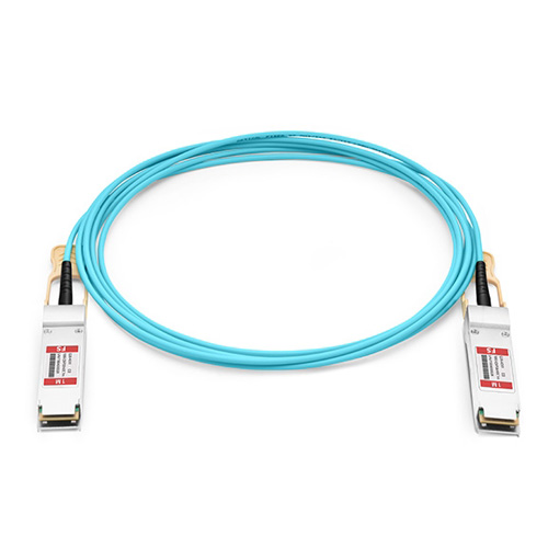 Multi-Vendor Compatible QSFP-100G-AOC1M